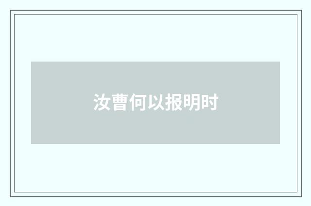汝曹何以报明时