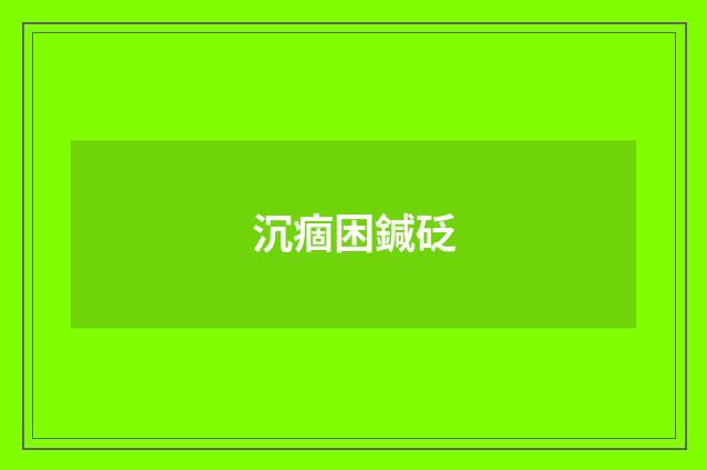 沉痼困鍼砭
