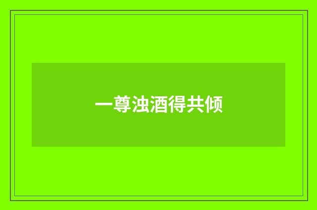 一尊浊酒得共倾