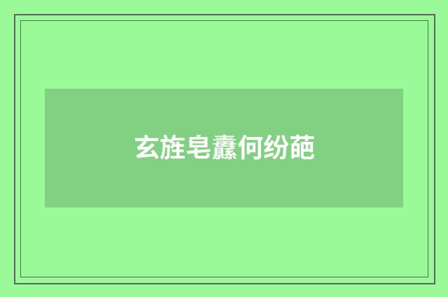 玄旌皂纛何纷葩