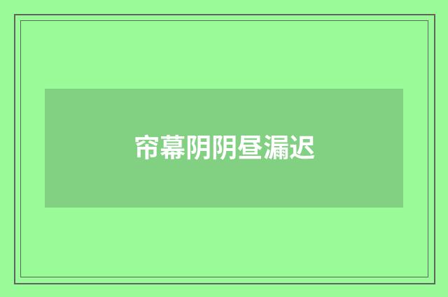 帘幕阴阴昼漏迟