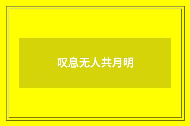 叹息无人共月明