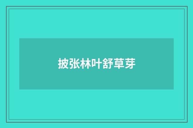 披张林叶舒草芽