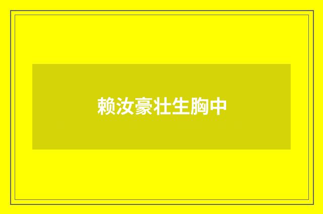 赖汝豪壮生胸中