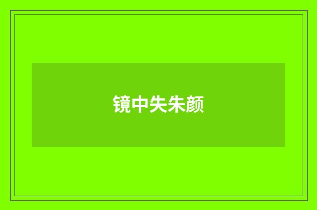 镜中失朱颜