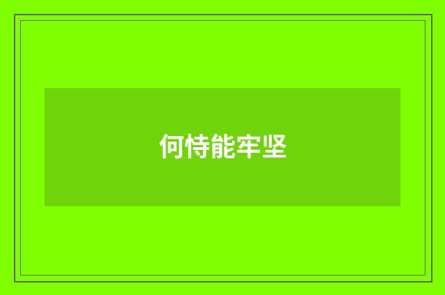 何恃能牢坚