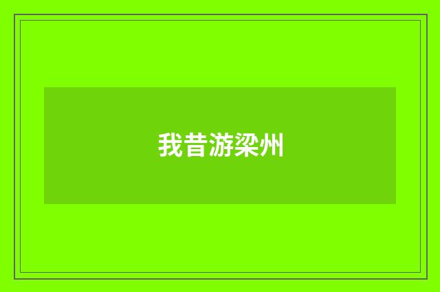 我昔游梁州