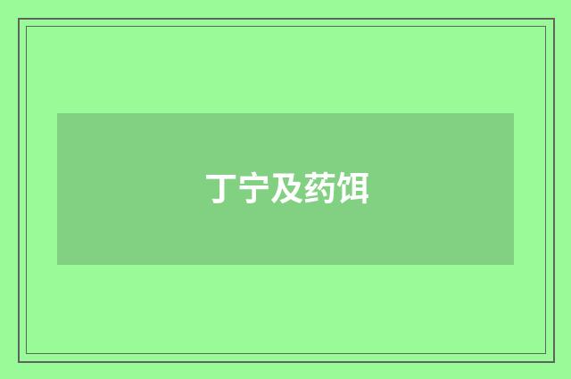 丁宁及药饵
