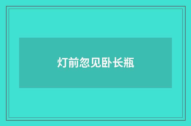 灯前忽见卧长瓶