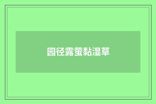 园径露萤黏湿草