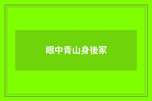 眼中青山身後冢