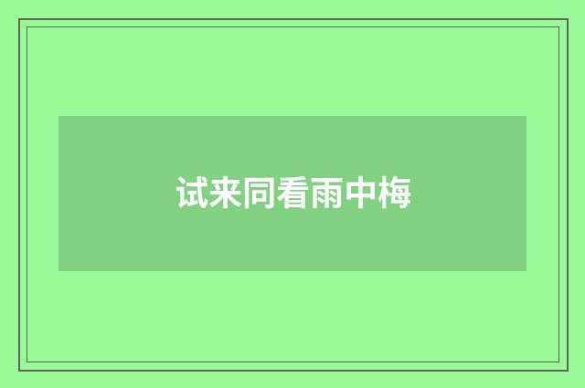 试来同看雨中梅