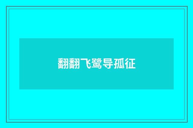 翻翻飞鹭导孤征