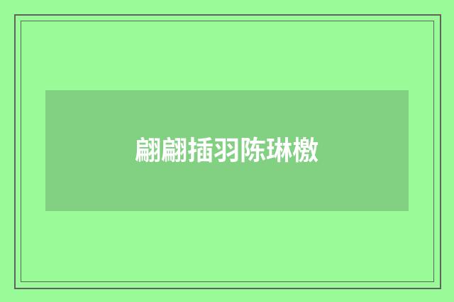 翩翩插羽陈琳檄