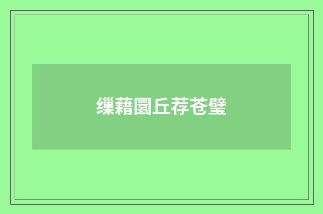 缫藉圜丘荐苍璧