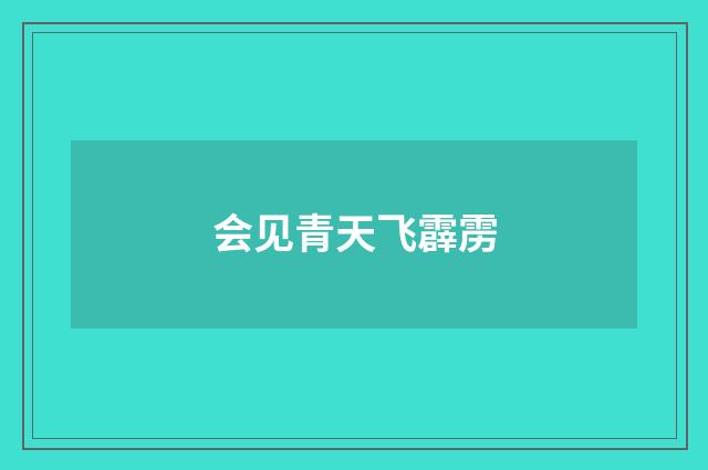 会见青天飞霹雳
