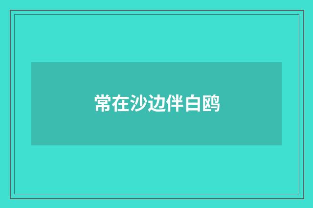 常在沙边伴白鸥