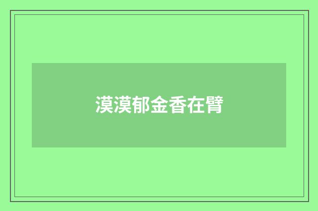 漠漠郁金香在臂