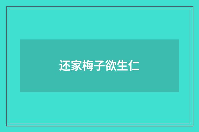 还家梅子欲生仁