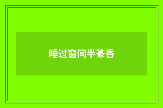 睡过窗间半篆香