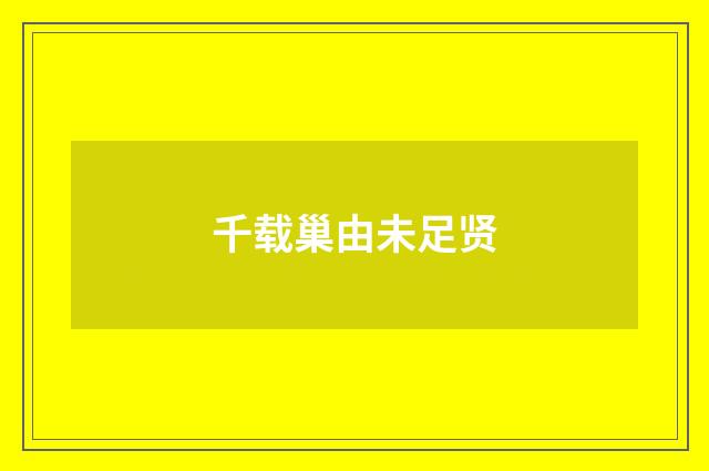 千载巢由未足贤