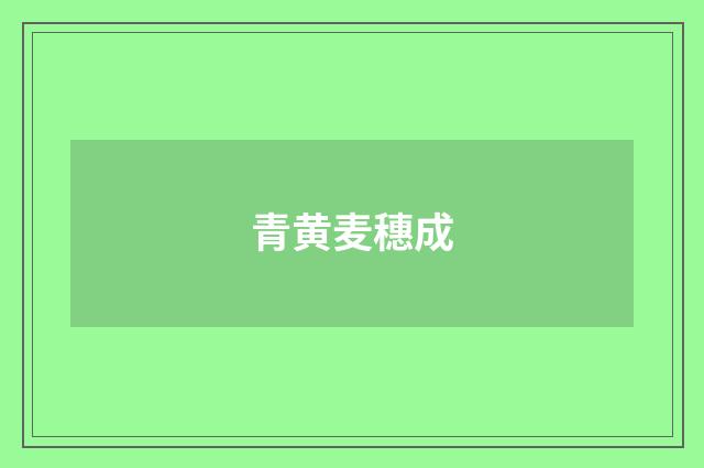 青黄麦穗成