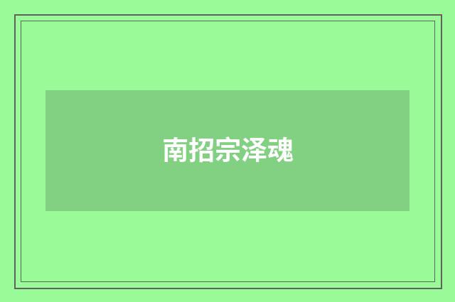 南招宗泽魂
