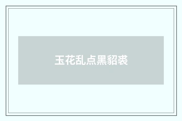 玉花乱点黑貂裘
