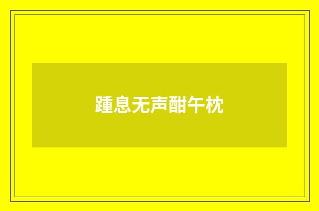 踵息无声酣午枕