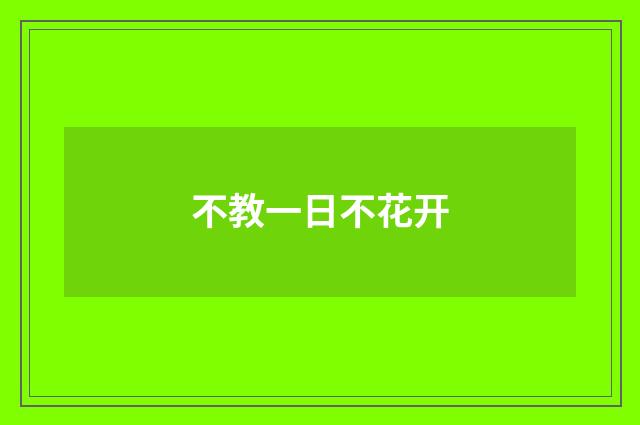 不教一日不花开