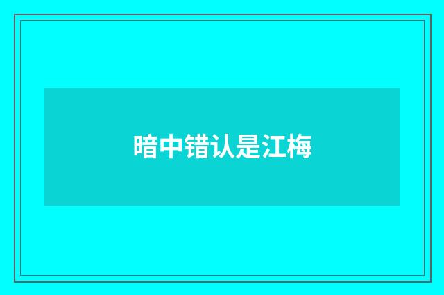 暗中错认是江梅