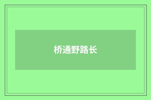 桥通野路长