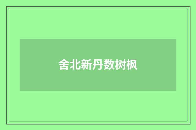 舍北新丹数树枫