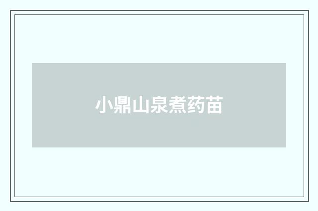 小鼎山泉煮药苗