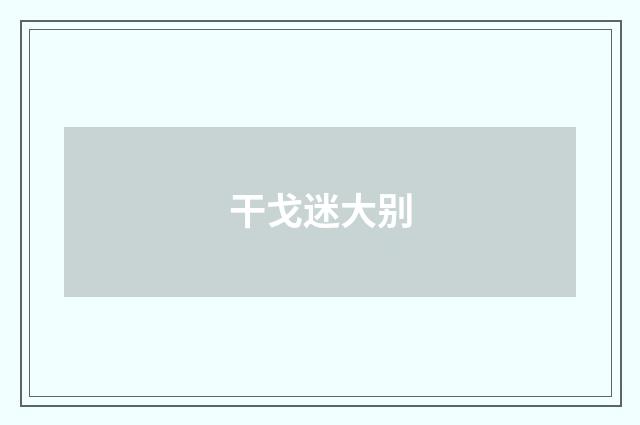 干戈迷大别