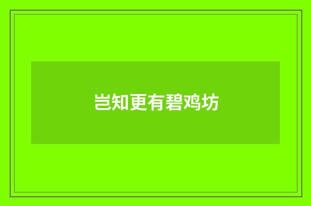岂知更有碧鸡坊