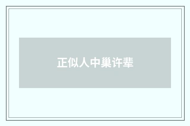 正似人中巢许辈