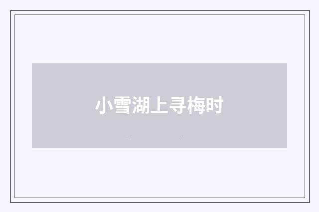 小雪湖上寻梅时