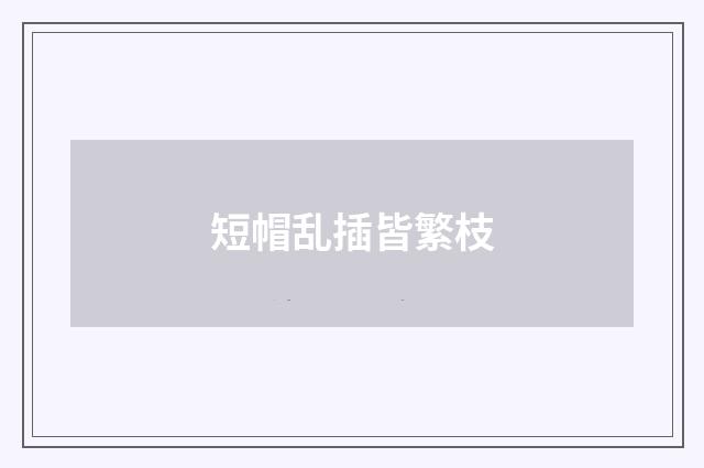 短帽乱插皆繁枝
