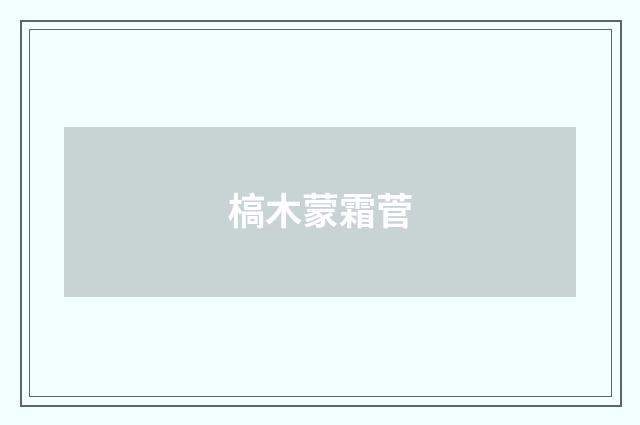 槁木蒙霜菅