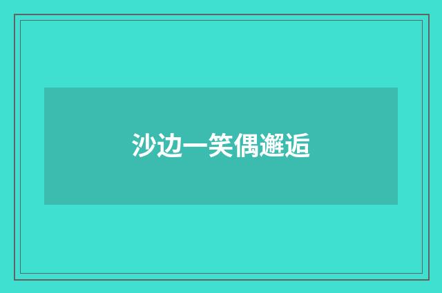沙边一笑偶邂逅