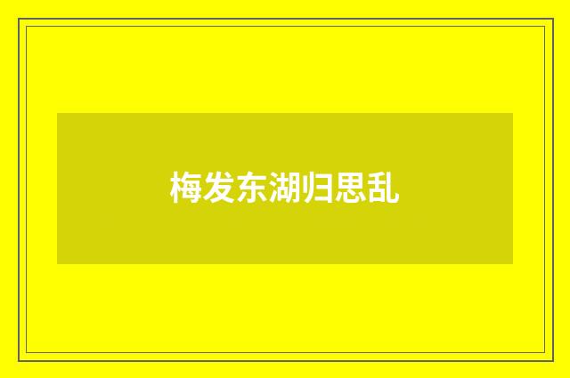 梅发东湖归思乱