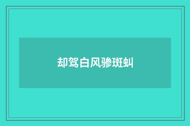 却驾白风骖斑虯