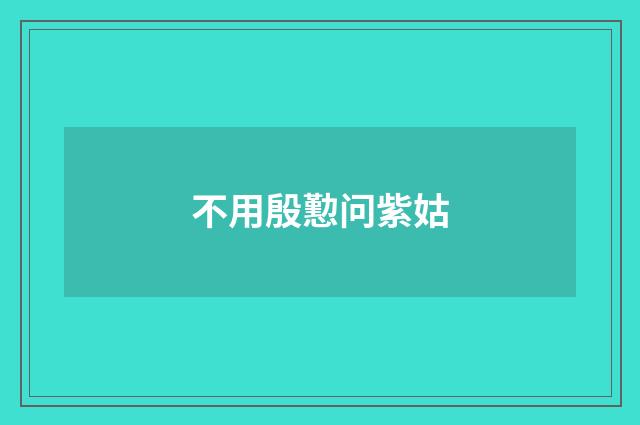 不用殷懃问紫姑
