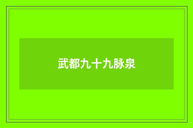 武都九十九脉泉