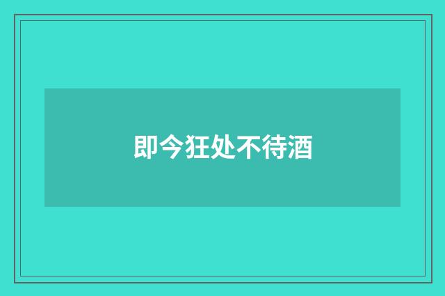 即今狂处不待酒