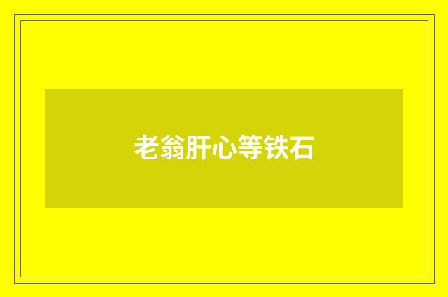 老翁肝心等铁石