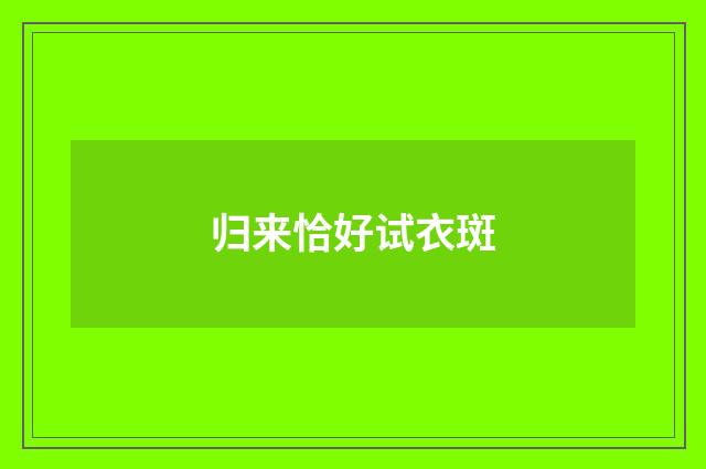 归来恰好试衣斑