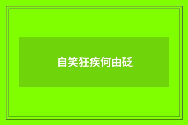 自笑狂疾何由砭