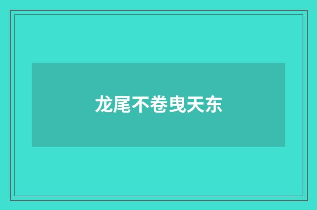 龙尾不卷曳天东